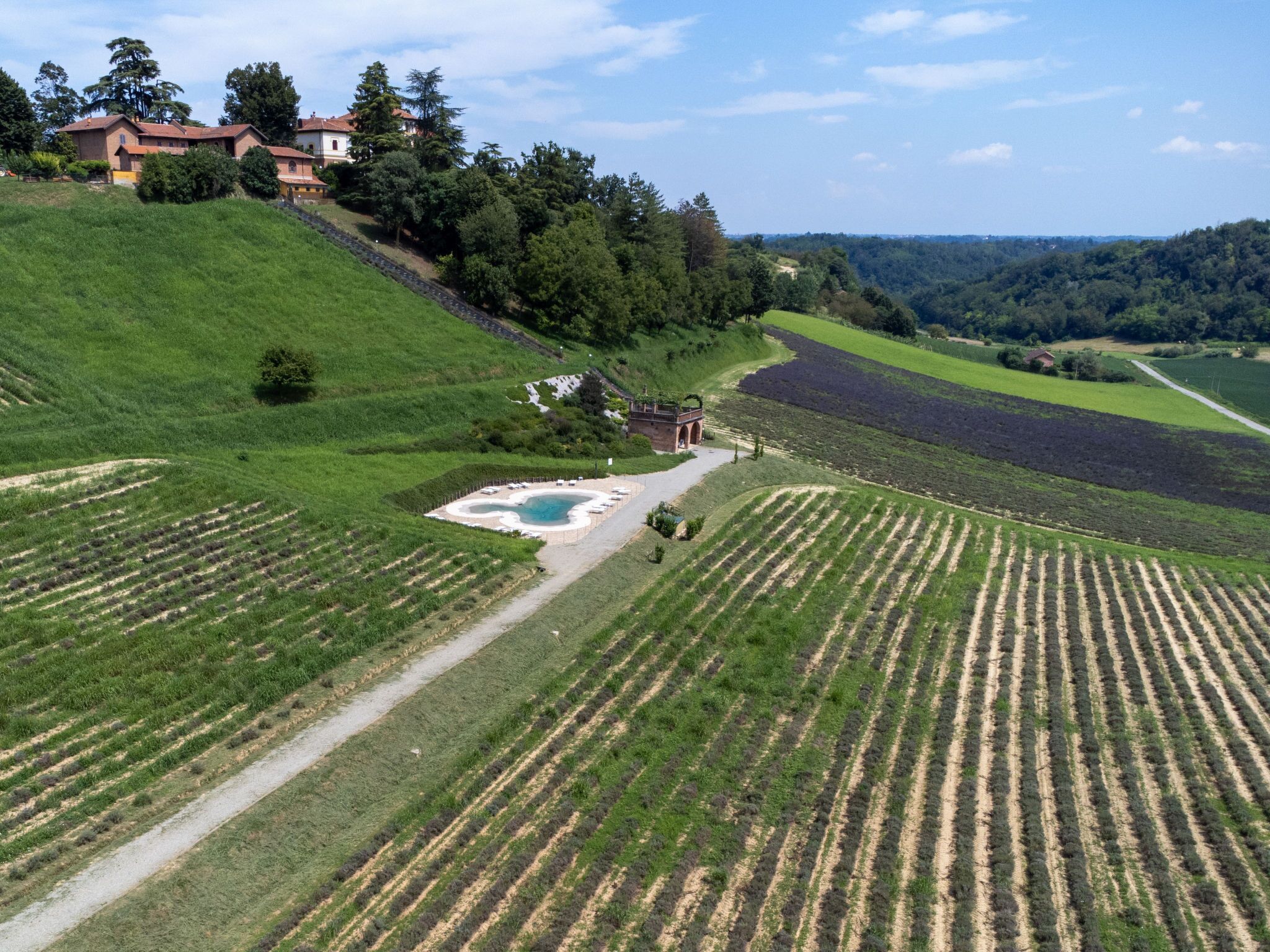 Un vignoble avec des terrasses et un petit espace piscine.