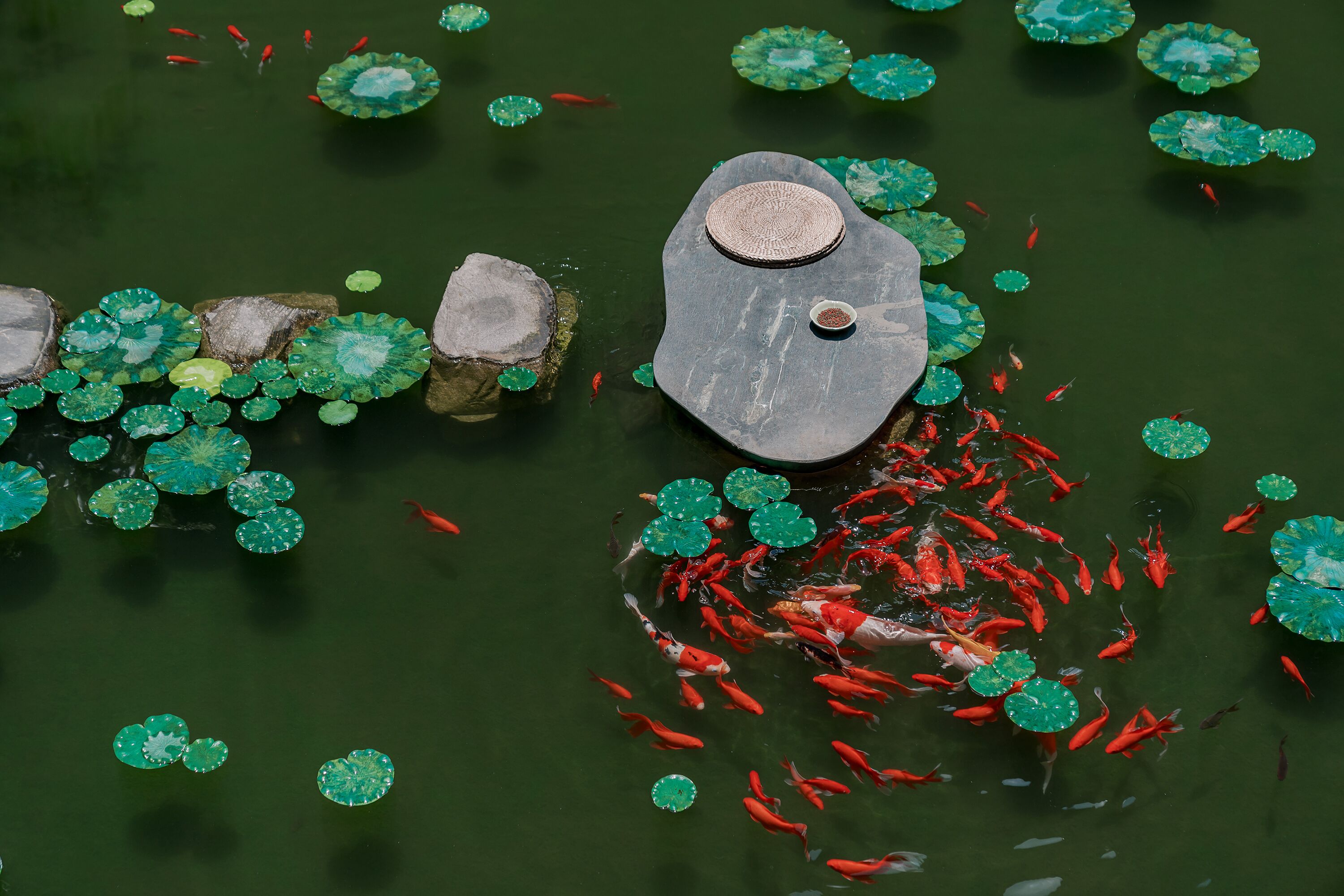 A koi pond with water lilies and a stone structure.