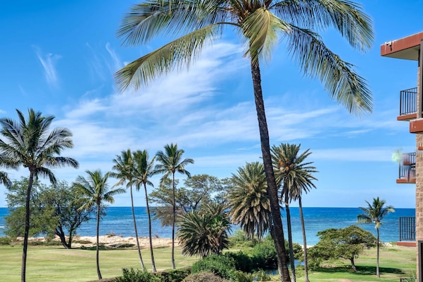 A view of a beach with palm trees and a clear sky.