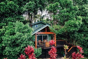 Exterior - The Treehouse at Hulili Farm - NEW  (Hakalau)