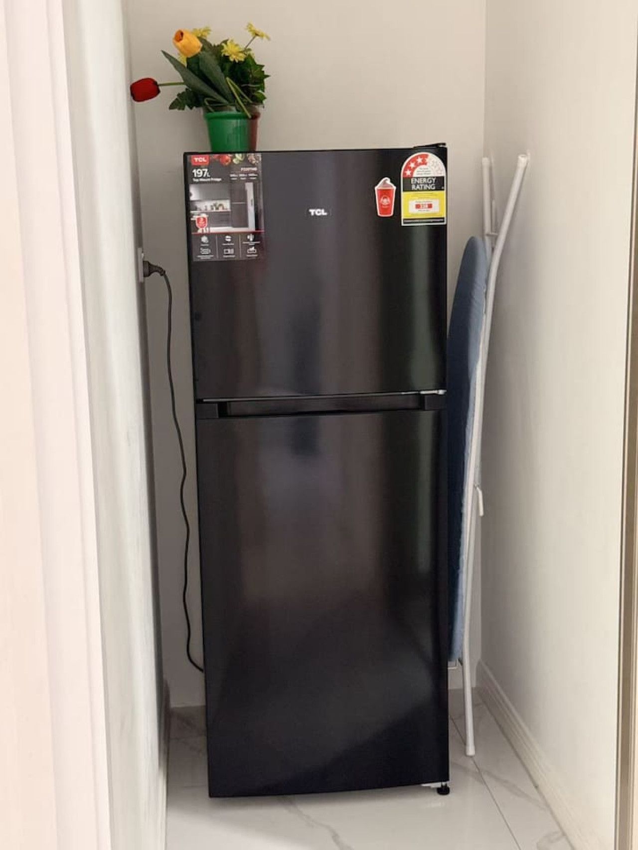 Un refrigerador negro con una etiqueta de eficiencia energética TDL, una rosa roja y una planta verde encima.