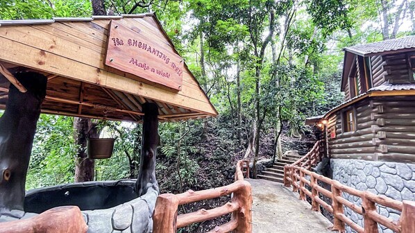 Property grounds - House with hot pool and forest view, Baguio. Tuba, Benguet. (Tuba)