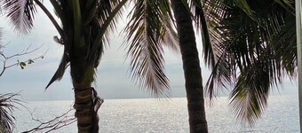 Apart 2ch Holiday - Vue sur mer