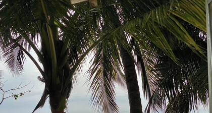 Apart 2ch Holiday - Vue sur mer