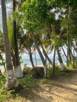 Una playa con palmeras y una barrera de hormigón.