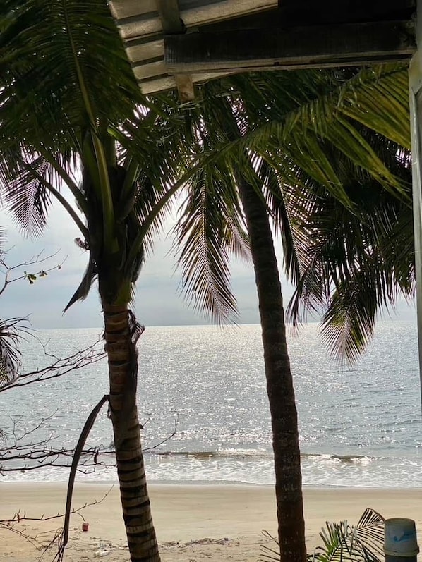 A beach view with palm trees and a clear sky.