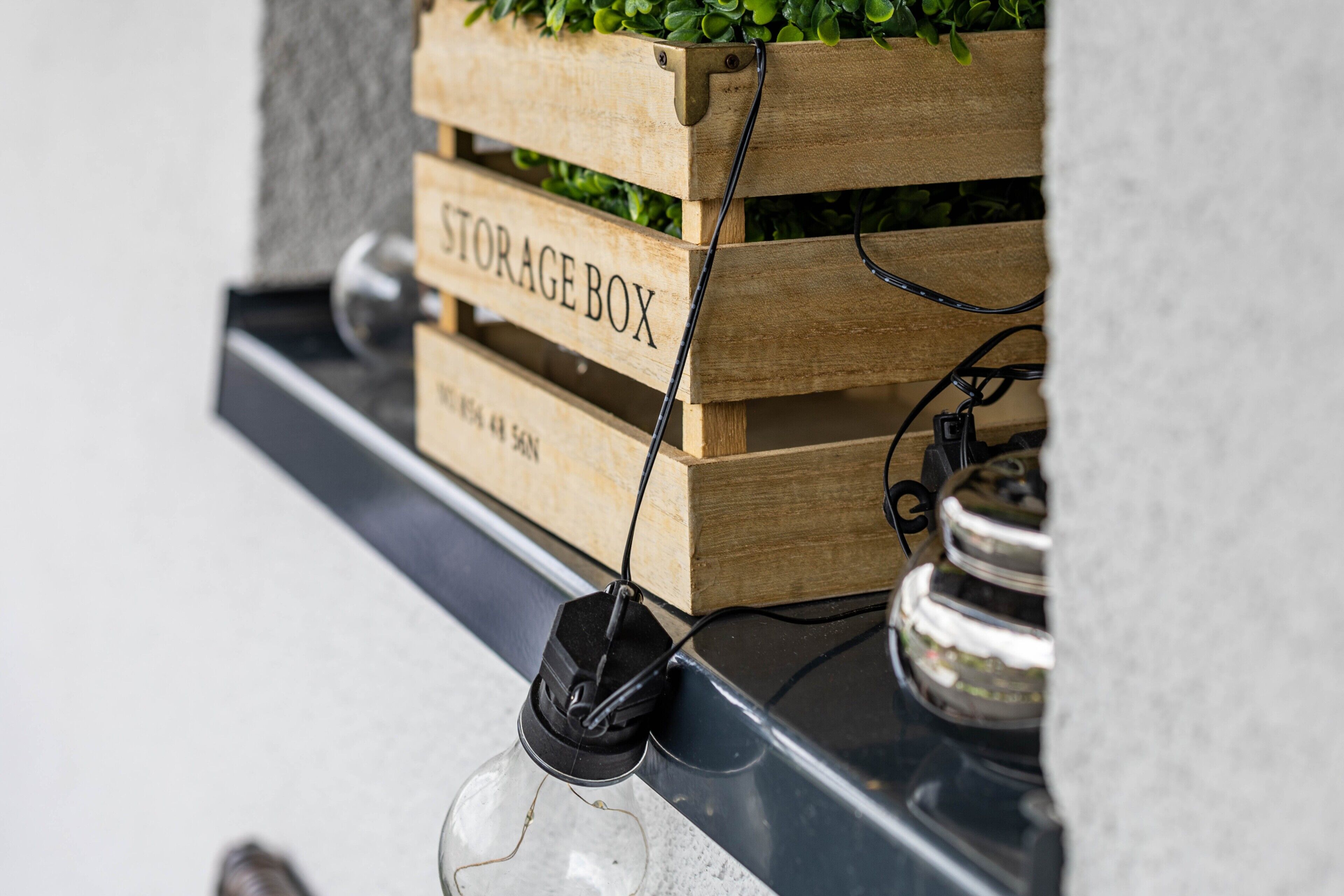 A storage box with a label, a light bulb, and a plant.