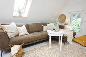 Televisio, takka, pöytätennispöytä