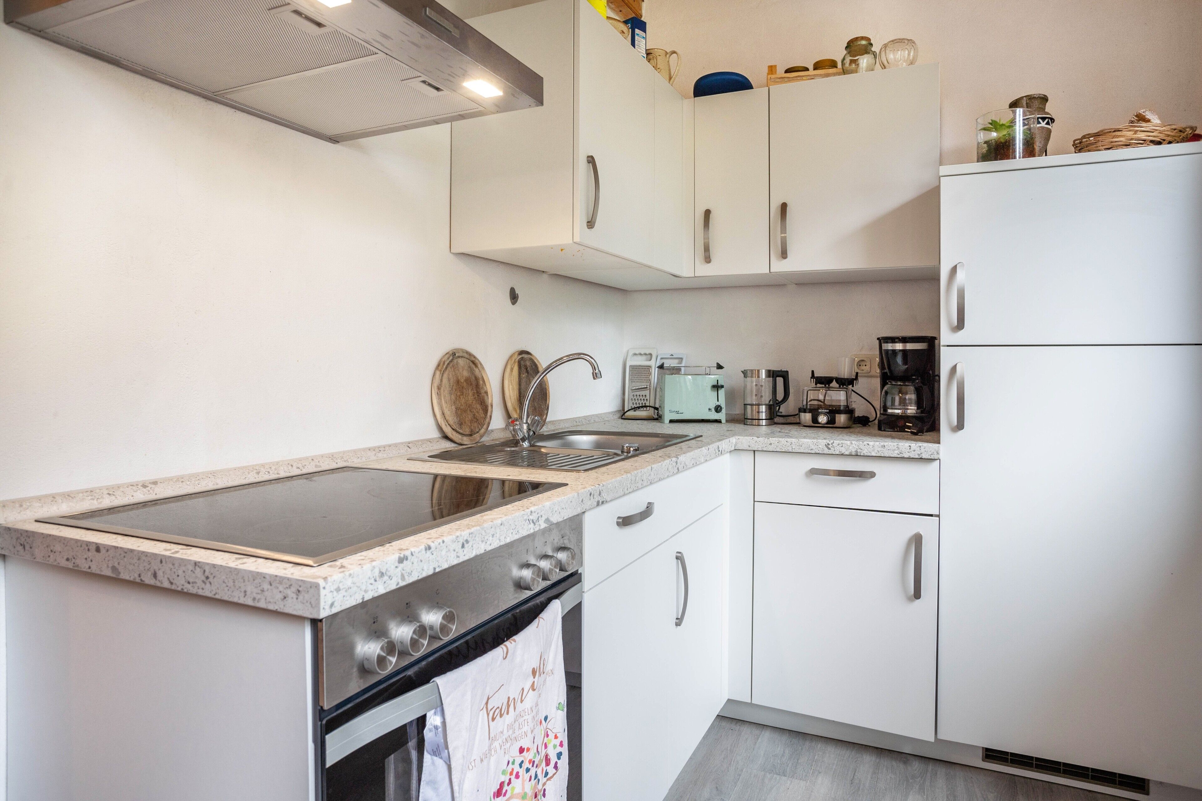 Fridge, oven, stovetop, dishwasher