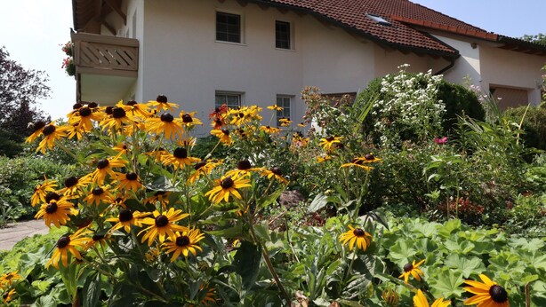 Un edificio con techo de tejas, balcón y jardín con flores amarillas.
