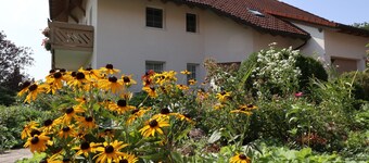 Apartment 'Haus Doris' with Mountain View, Shared Terrace and Wi-Fi