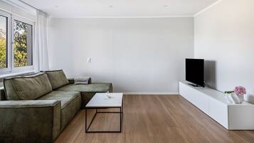 Fernseher