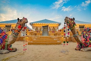 Two camels adorned with colorful decorations in front of a building with a tiled entrance and a blue roof. - Desert Heritage Camp and Resort (Jaisalmer)