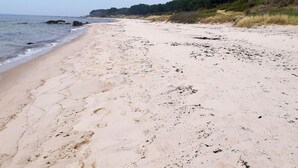 Une vaste plage de sable avec des empreintes, un ciel dégagé et une zone boisée en arrière-plan.