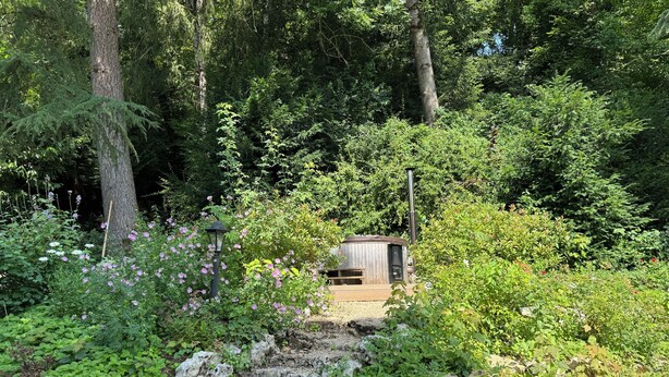 A rustic cabin surrounded by dense forest, with a stone pathway leading to it. - Idyllic Village Cottage With Hot Tub & Scenic Views (Mont-Saint-Jean)