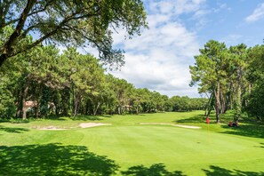 Un campo da golf con bunker di sabbia, una bandierina e alberi.