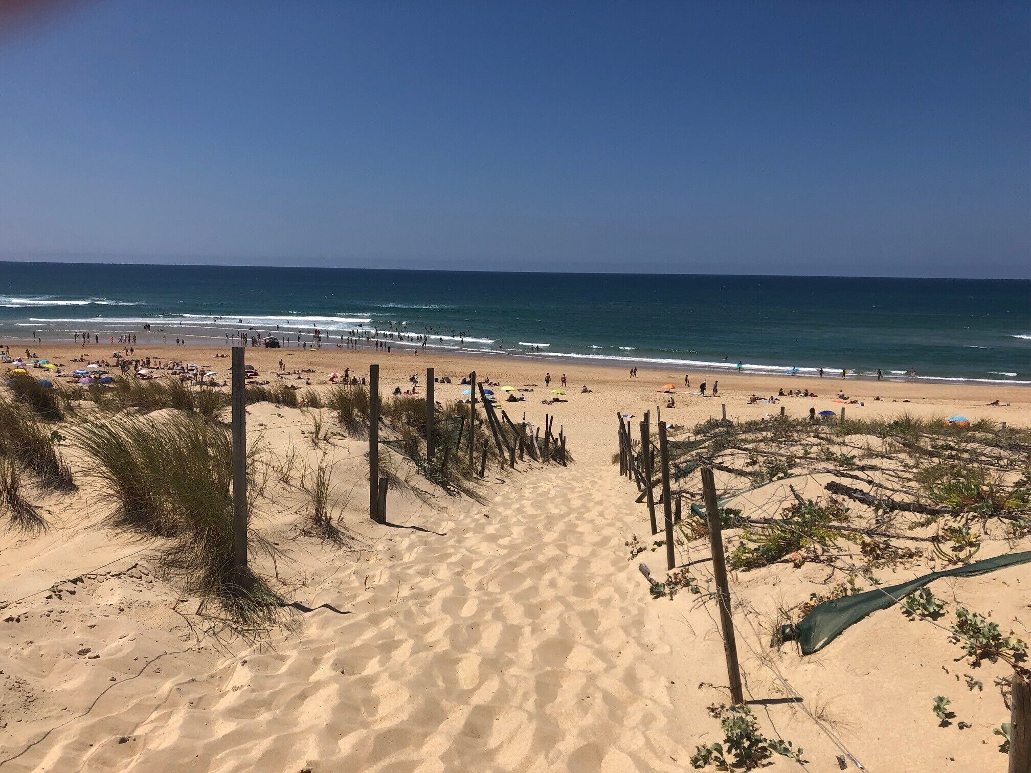 Une plage avec des dunes de sable, des clôtures en bois et une vue dégagée sur l’océan.