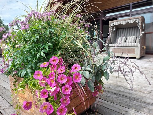 fewo1846 - An der Gärtnerei - Idylle im Grünen mit 3 Schlafzimmern