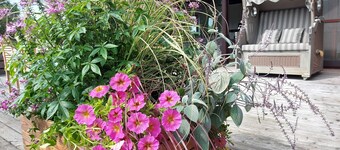 fewo1846 - An der Gärtnerei - idyll in the countryside with 3 bedrooms