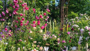 Un jardín con diversas plantas florecientes, entre ellas rosas y otras flores, y una estatua de conejo.
