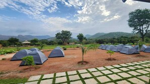 A campsite with multiple tents arranged in rows, surrounded by greenery and trees, with a clear sky above. - V NATURE RESORTS (Kanakapura)