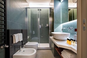 Shower, hair dryer, bidet, towels
