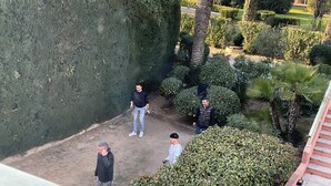 Un patio con setos bien cuidados, palmeras y una escalera que conduce a un nivel superior.