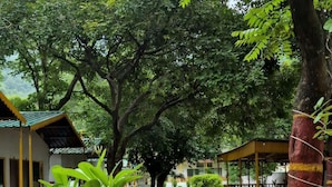 Property entrance - Tree House Cottage and Resort (Narendranagar)