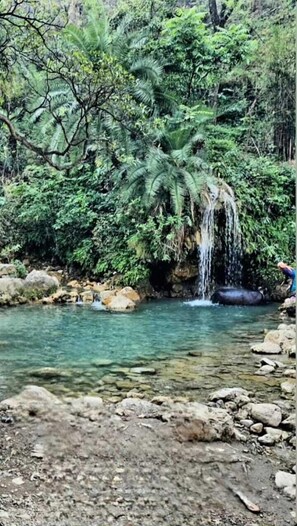 Jardí