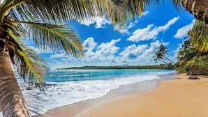 Una playa con agua azul cristalina, orilla de arena y palmeras.