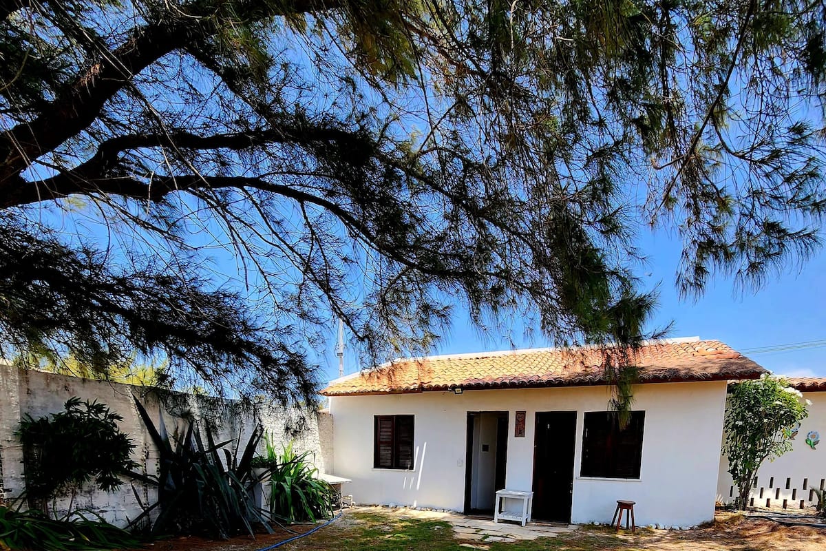 A small house with a tiled roof, a grassy yard, and a large tree in the foreground.