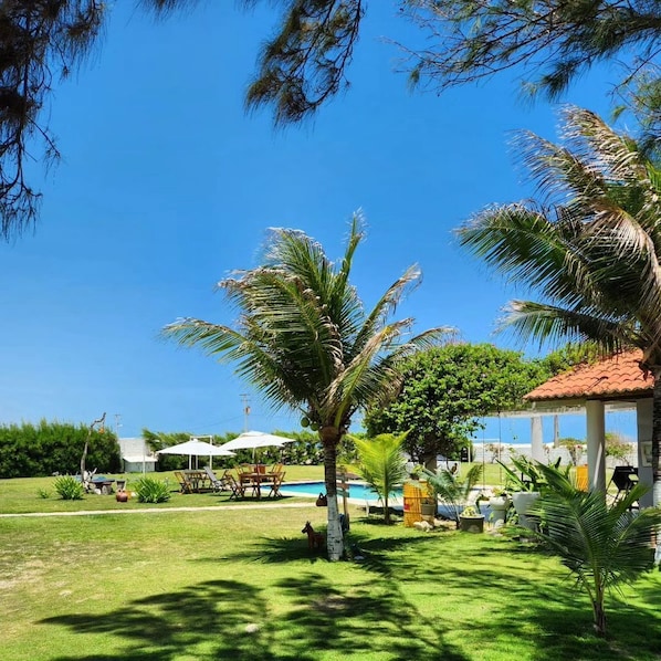 Garden view