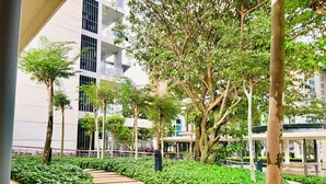 Een modern gebouw met een overdekte doorgang, omringd door weelderige begroeiing en bomen.