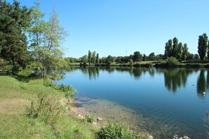 A calm lake with clear water, surrounded by grassy areas and trees.