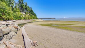 Una playa con costa rocosa, una barrera de troncos y un denso bosque a la izquierda.