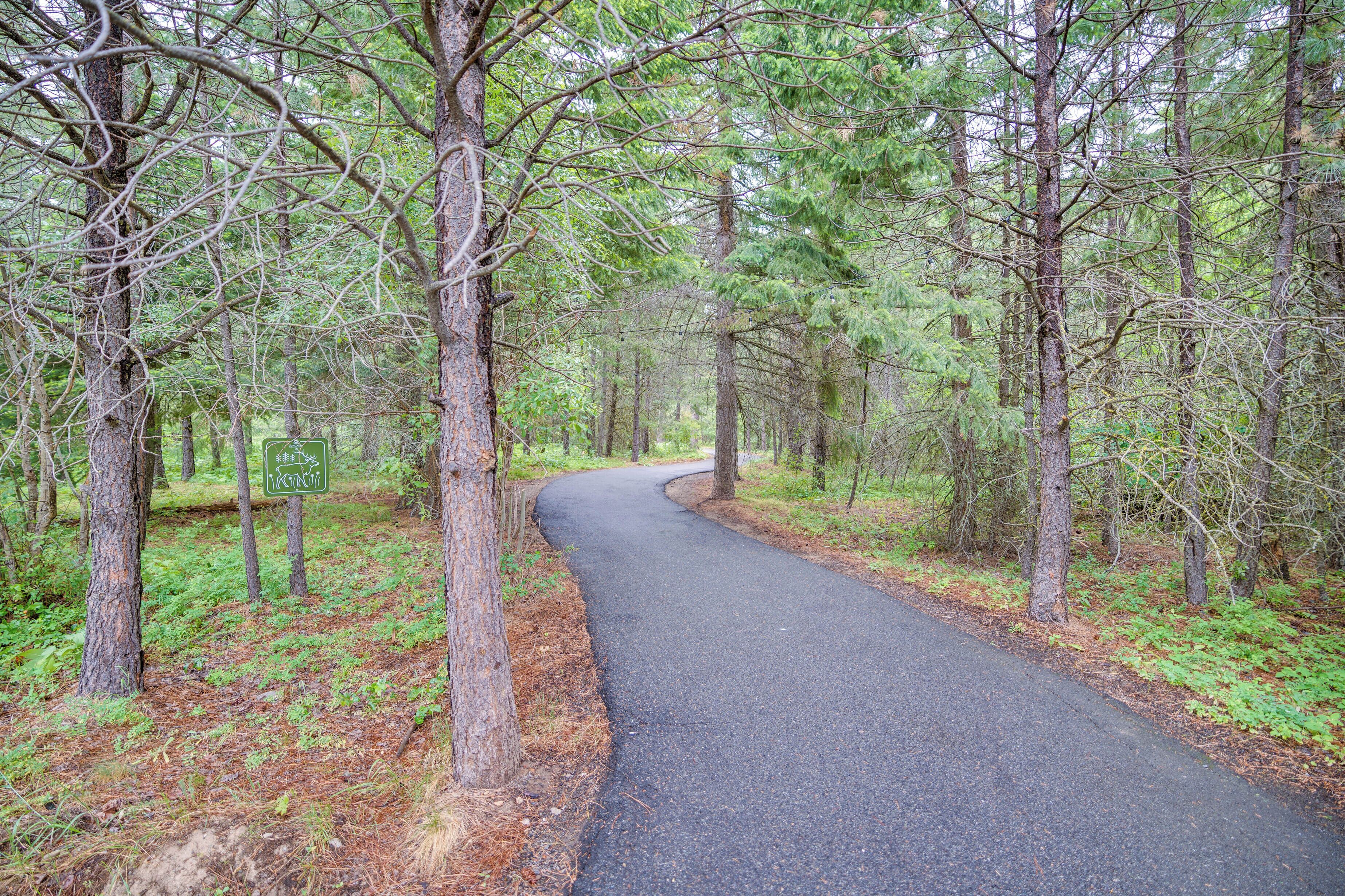 Un sentier forestier pavé, bordé d’arbres.