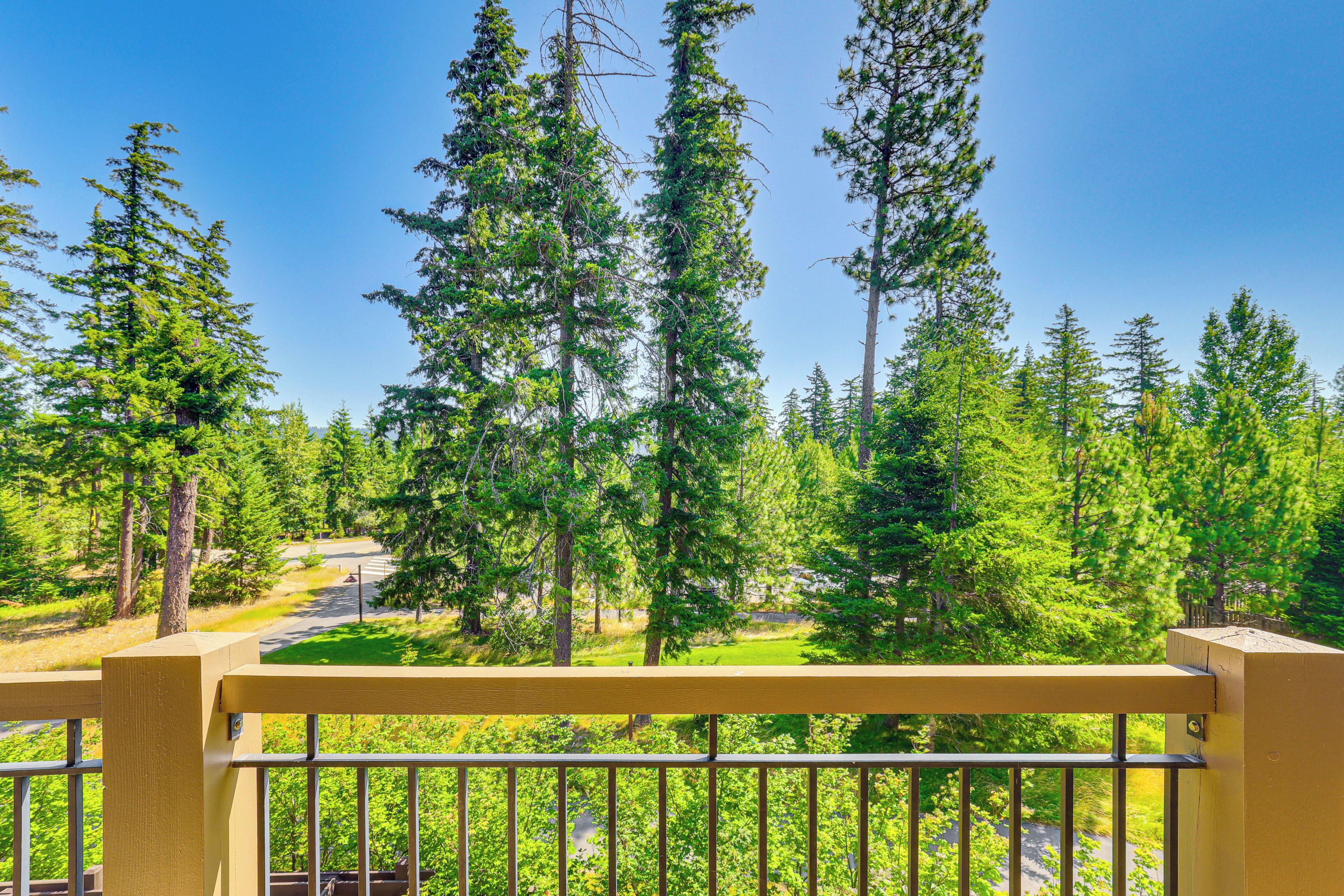 A balcony with a view of a forested area and a paved path.