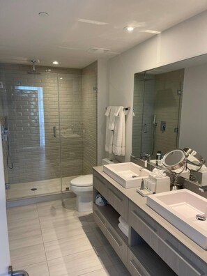 Shower, hair dryer, towels