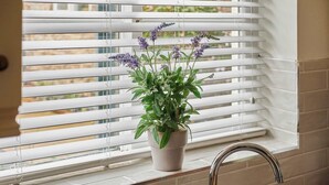 Eine Küche mit Fenster, Spüle und einem Blumentopf mit violetten Blüten.