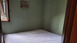 A small, single-bed room with green walls and a wooden door. - 2-room apartment for 4 people, pets and parking (Châtel)