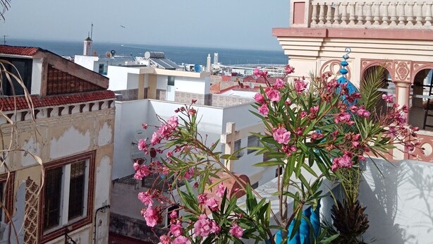 Una azotea con vista al mar, un edificio con cúpula y flores rosadas en primer plano.