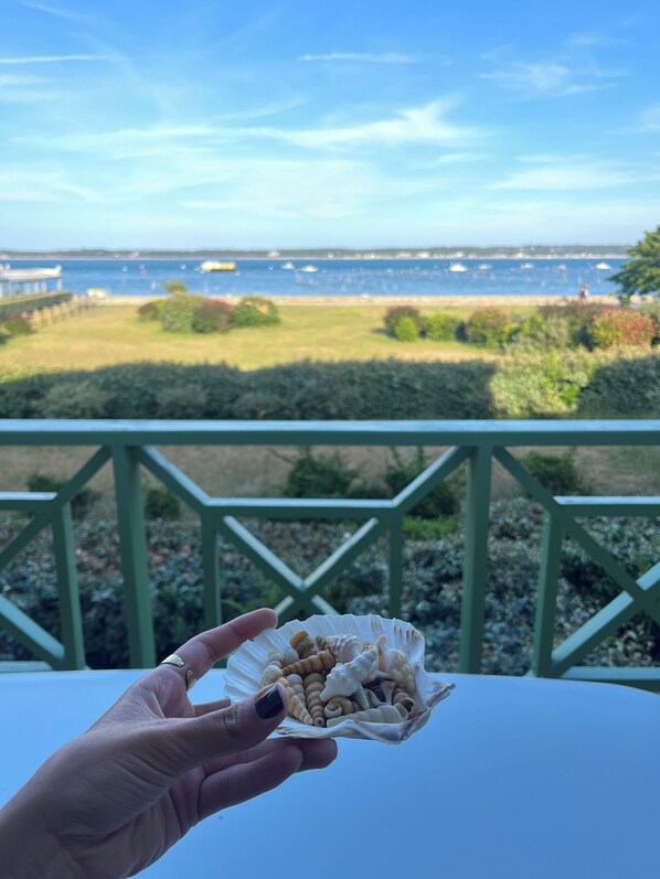 Property grounds - Appartement Avec Magnifique Panorama, vue Dune du Pyla et Accès à la Plage (Lège-Cap-Ferret)