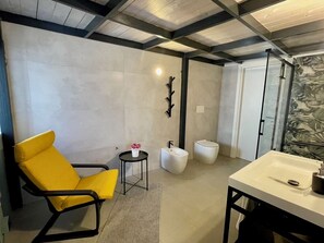 Ducha, secador de pelo, bidé y toallas