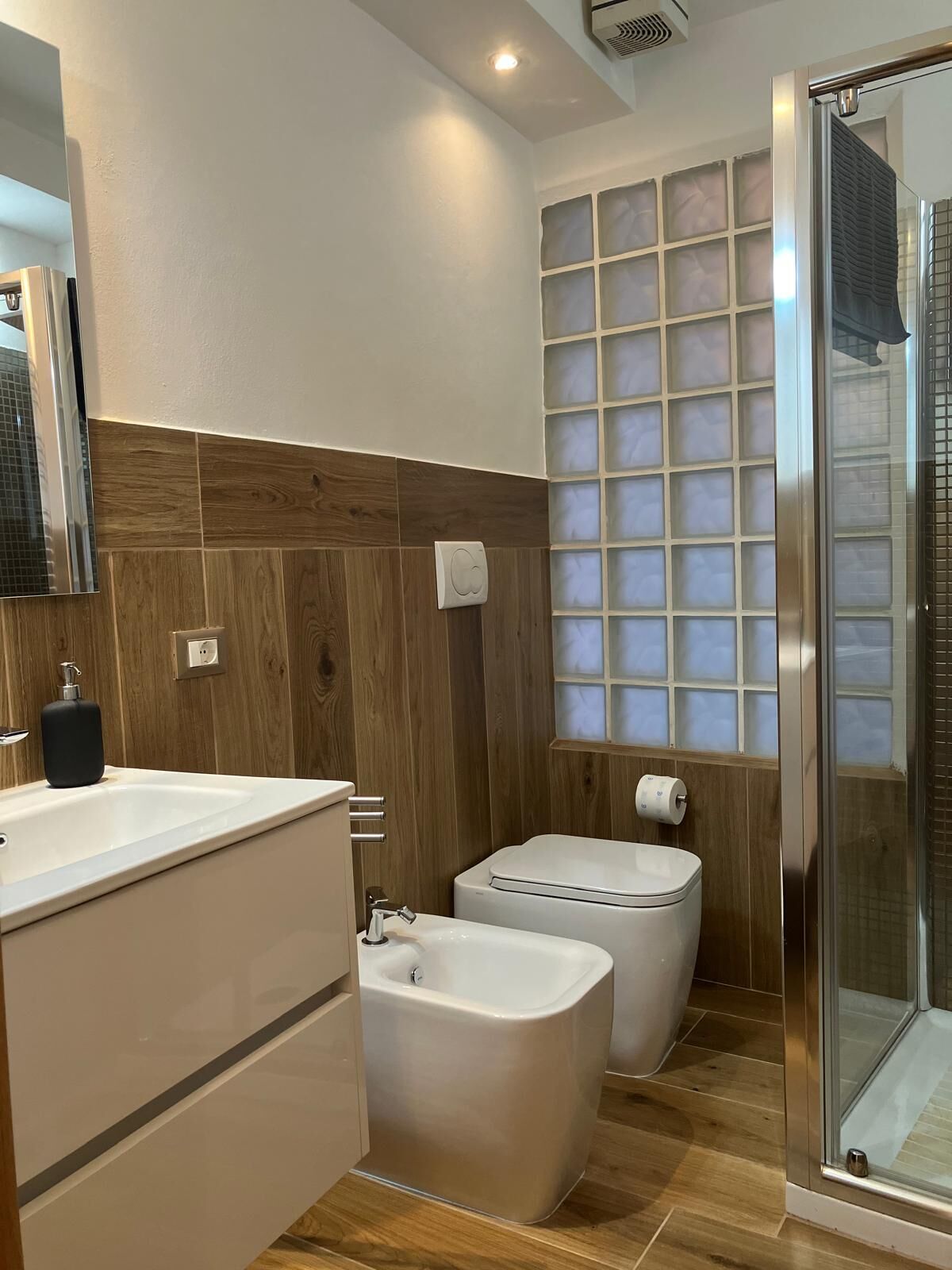 Shower, hair dryer, bidet, towels