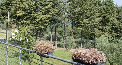 Bed and breakfast La Caruscia