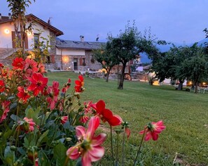 Lägenhet Superior - utsikt mot trädgården | Utsikt från rummet