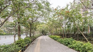 Un sendero pavimentado bordeado de árboles y arbustos que conduce a una masa de agua.
