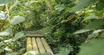 Maison de charme et dâhistoire