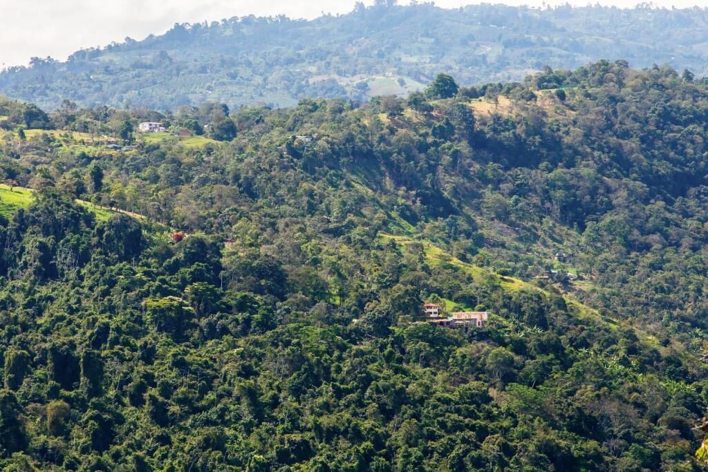 A hillside with dense greenery and a small building on the slope.