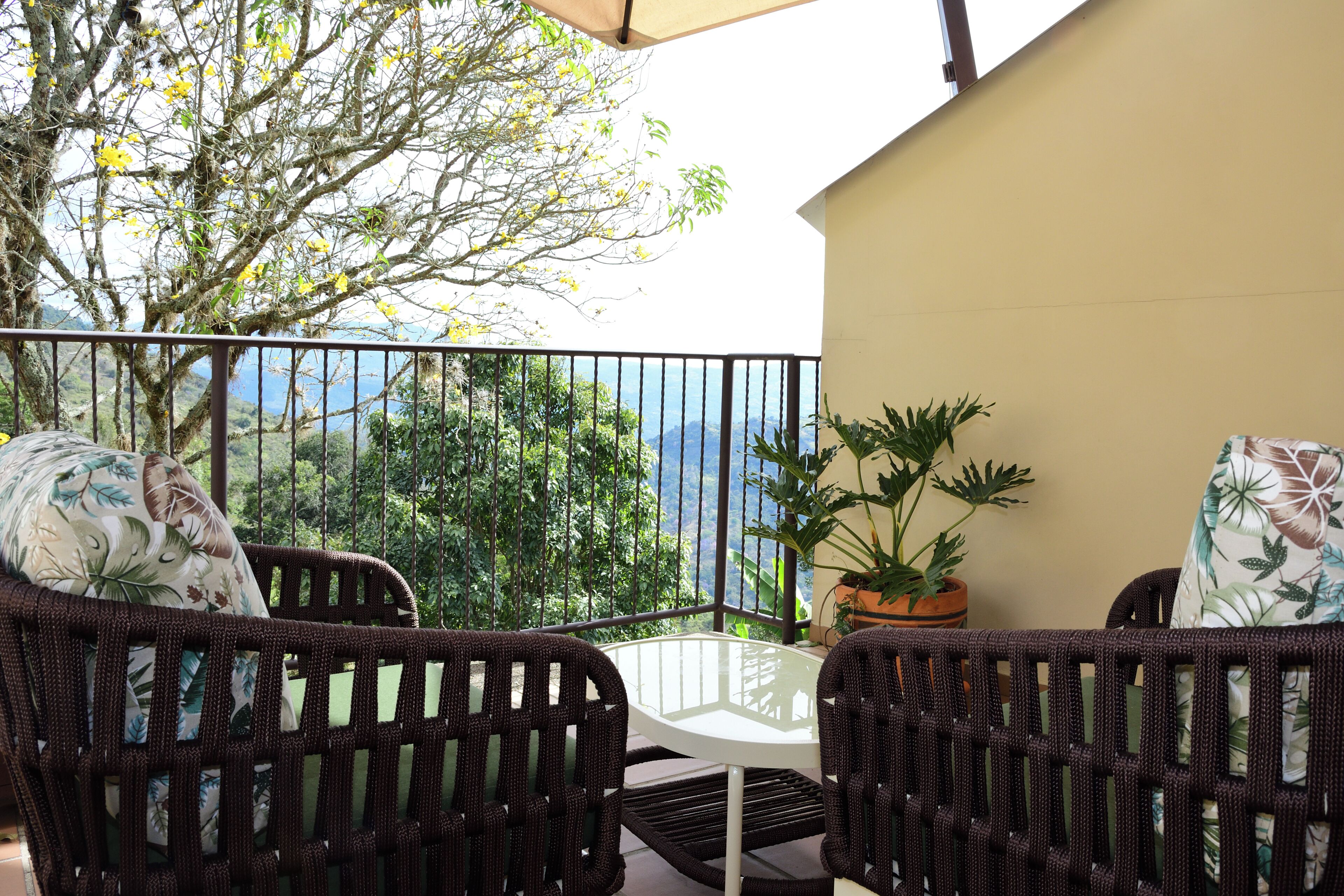 A balcony with wicker furniture, a potted plant, and a view of a mountainous landscape.